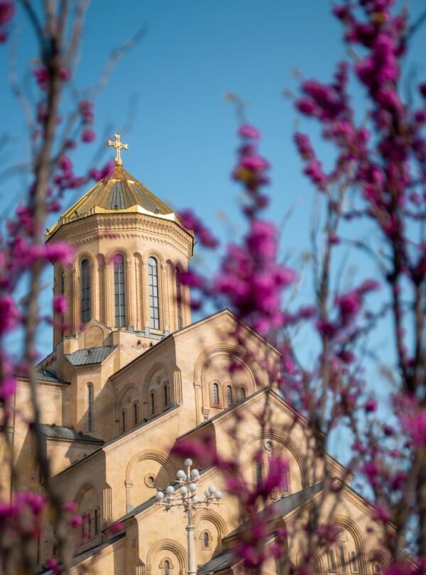 Shop Amazon Home Products